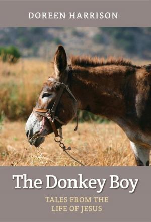 Book cover of The Donkey Boy