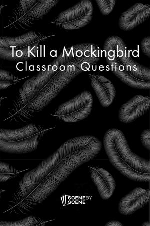 Cover of the book To Kill a Mockingbird Classroom Questions by Sheridan Scott, Nancy Allen, Anya Settle