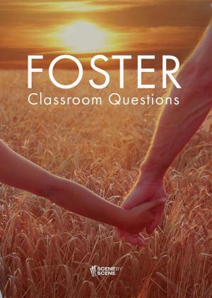 Cover of the book Foster Classroom Questions by Danilo Lapegna, Yamada Takumi