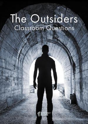 Cover of The Outsiders Classroom Questions