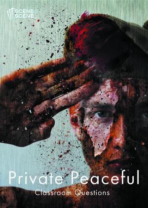 Cover of Private Peaceful Classroom Questions