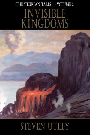 Cover of the book Invisible Kingdoms by Janeen Webb