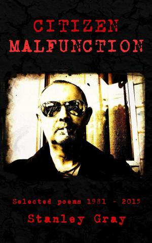 Cover of the book Citizen Malfunction by Greg Clancy