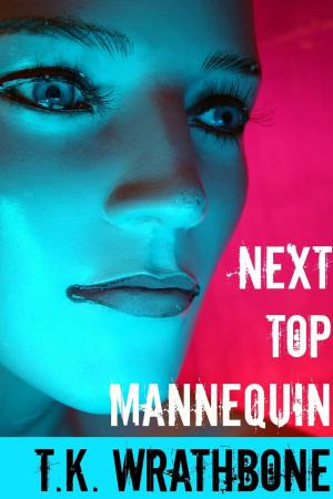 Cover of Next Top Mannequin