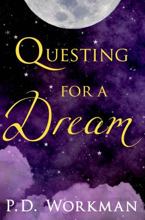 Cover of the book Questing for a Dream by Fay Weldon