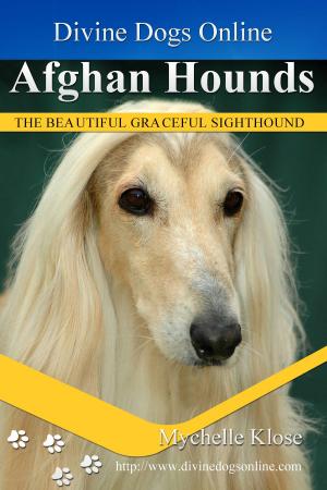 Cover of Afghan Hounds
