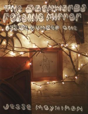 Cover of Backwards Folding Mirror #1