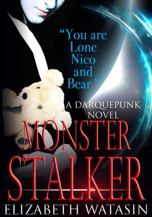 Book cover of Monster Stalker