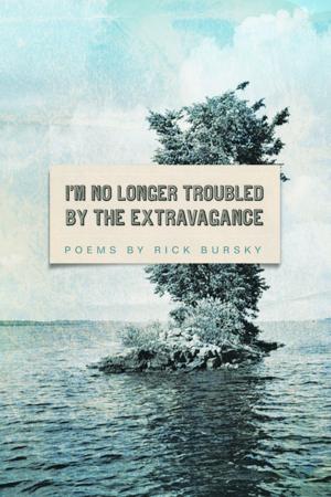 Cover of I'm No Longer Troubled by the Extravagance