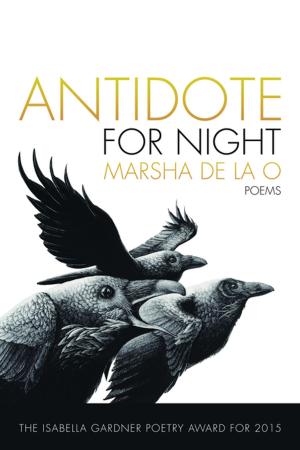 Cover of the book Antidote for Night by Martha Ronk