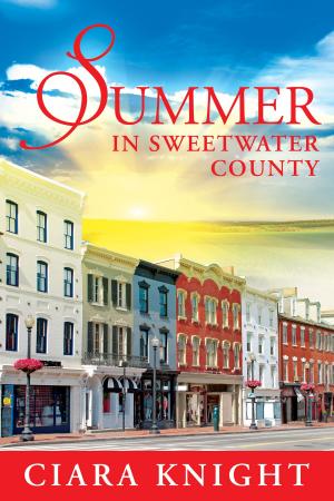 Cover of Summer in Sweetwater County