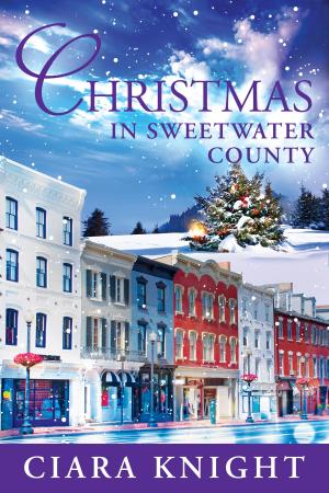 bigCover of the book Christmas in Sweetwater County by 
