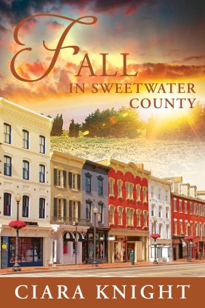 bigCover of the book Fall in Sweetwater County by 