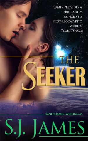 bigCover of the book The Seeker by 