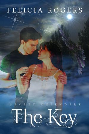 Cover of the book The Key by J. Gunnar Grey