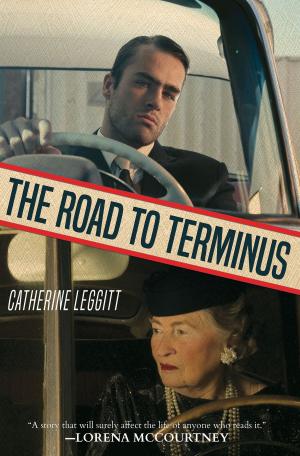 Cover of the book The Road to Terminus by Irina Bird