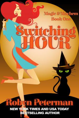 Cover of the book Switching Hour by Vivi Anna, Jenna Howard