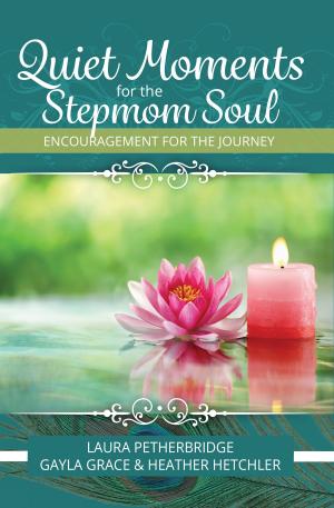 Cover of Quiet Moments for the Stepmom Soul