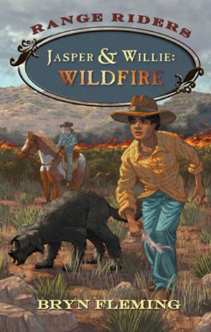 Book cover of Jasper and Willie