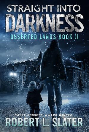 Cover of the book STRAIGHT INTO DARKNESS by Caitlin Lynagh