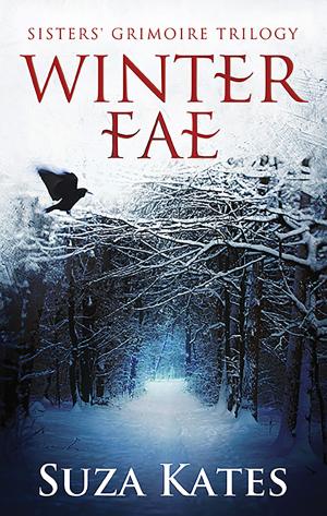 Book cover of Winter Fae