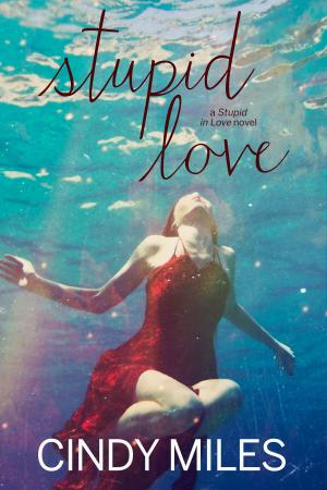Cover of Stupid Love (New Adult Romance)