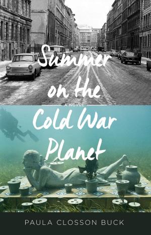 Cover of the book Summer on the cold war planet by Marjorie Maddox
