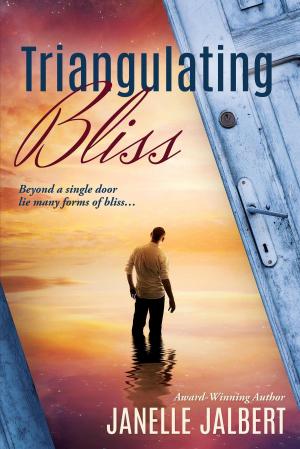 Cover of the book Triangulating Bliss by Z.A. Maxfield