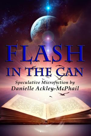 Cover of the book Flash in the Can by David Sherman