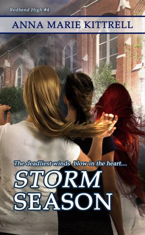 Cover of the book Storm Season by Sharon McGregor