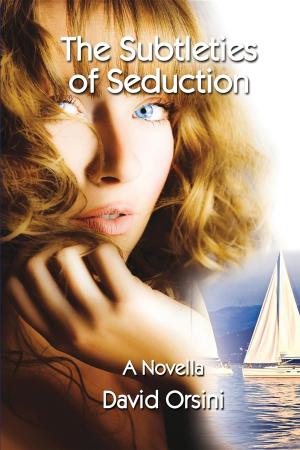 bigCover of the book The Subtleties of Seduction by 
