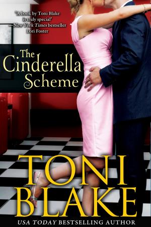 Book cover of The Cinderella Scheme