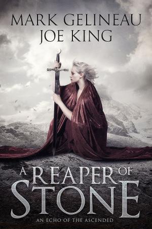 bigCover of the book A Reaper of Stone by 