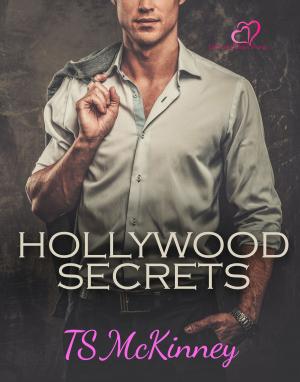 Cover of the book Hollywood Secrets by Glenn Stirling