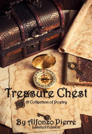 Cover of the book Treasure Chest Limited Edition by Maja Trochimczyk