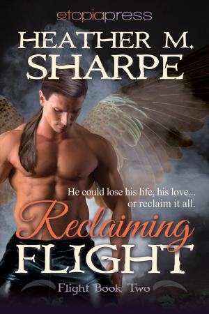 Cover of the book Reclaiming Flight by Lucy Monroe