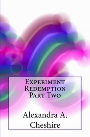 Book cover of Experiment Redemption Part Two