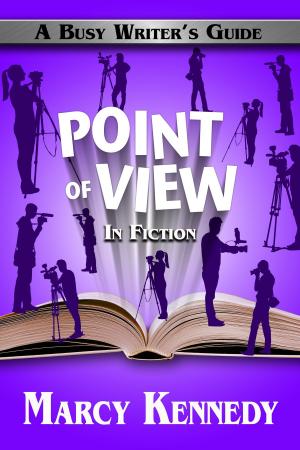 Cover of the book Point of View in Fiction by Amy Harrop