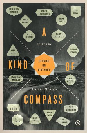 Cover of the book A Kind of Compass by Asa Leveaux