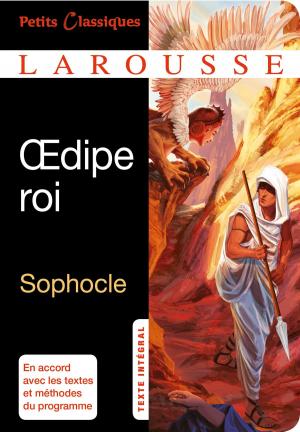 Cover of the book Oedipe Roi by Serge Schall