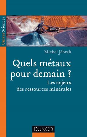Cover of the book Quels métaux pour demain? by Alain Cayzac, Guillaume Evin