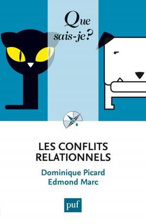 Cover of the book Les conflits relationnels by Maurice-Ruben Hayoun