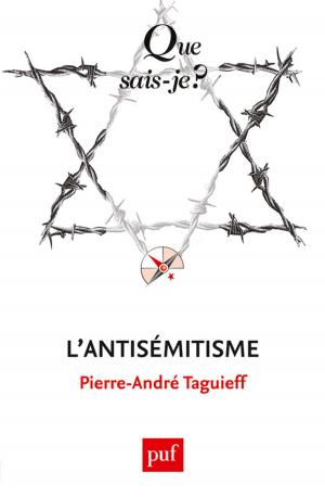 Cover of the book L'antisémitisme by Maxime Lefebvre