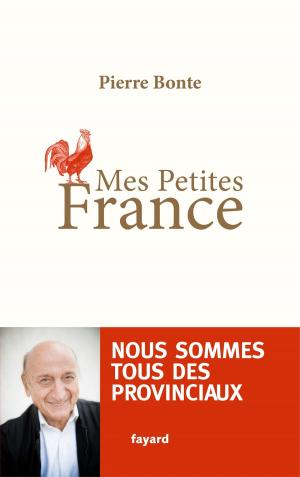 Book cover of Mes petites France