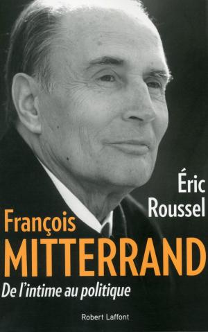 Cover of the book François Mitterrand by Michel DRUCKER