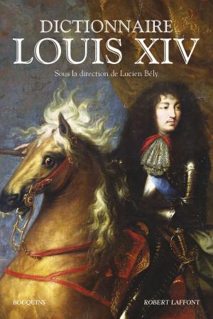 Cover of Dictionnaire Louis XIV