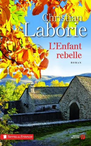 Cover of the book L'enfant rebelle by Chantal DELSOL