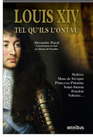 Book cover of Louis XIV tel qu'ils l'ont vu
