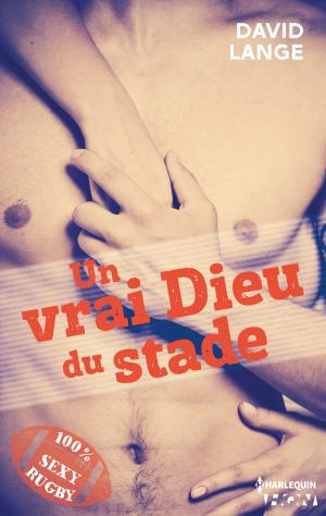 Book cover of Un vrai Dieu du stade