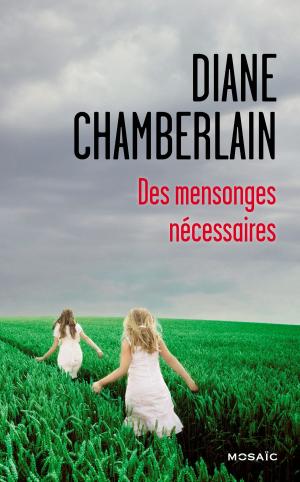 Cover of the book Des mensonges nécessaires by Anna Carey